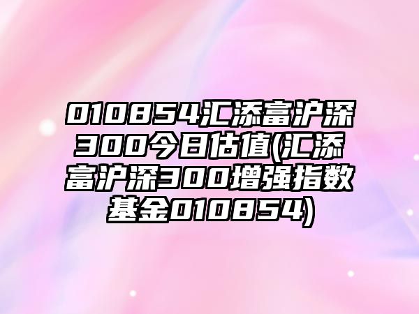 010854匯添富滬深300今日估值(匯添富滬深300增強指數基金010854)