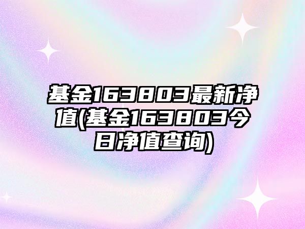 基金163803最新凈值(基金163803今日凈值查詢(xún))