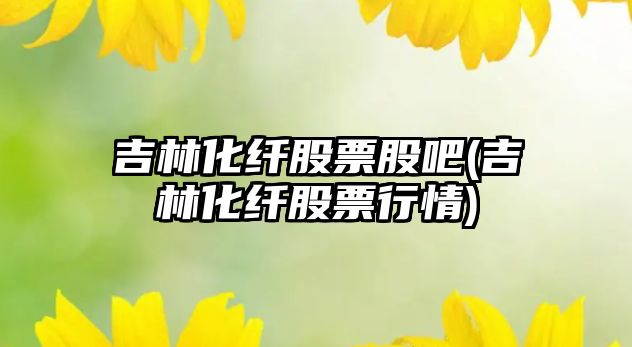 吉林化纖股票股吧(吉林化纖股票行情)