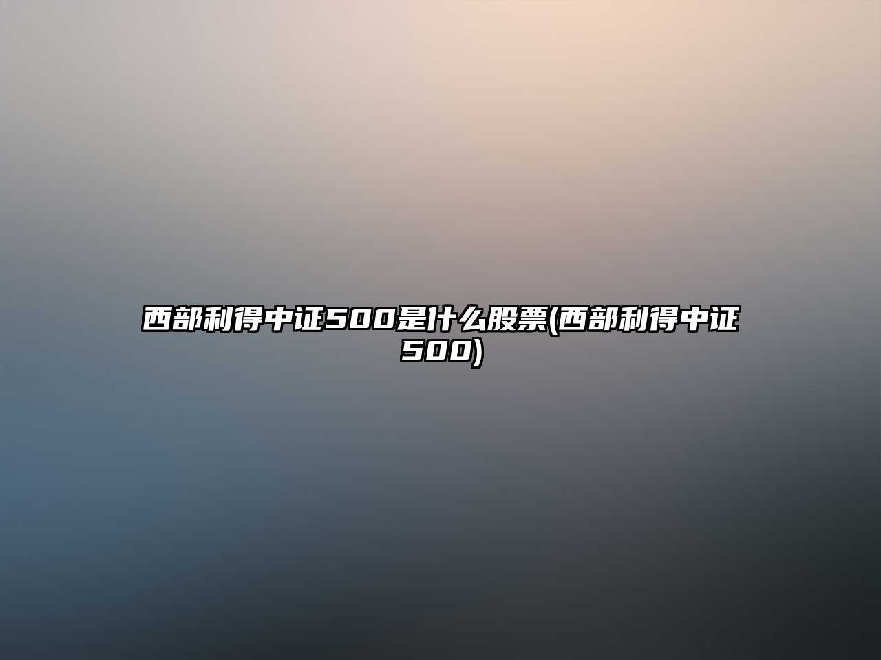 西部利得中證500是什么股票(西部利得中證500)