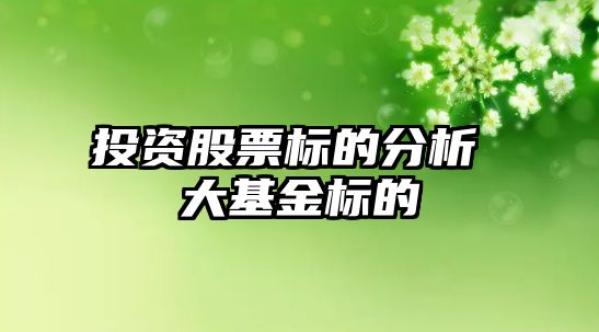 投資股票標的分析 大基金標的