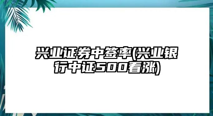 興業(yè)證券中簽率(興業(yè)銀行中證500看漲)