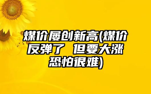 煤價(jià)屢創(chuàng  )新高(煤價(jià)反彈了 但要大漲恐怕很難)