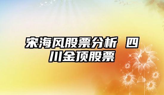 宋海風(fēng)股票分析 四川金頂股票