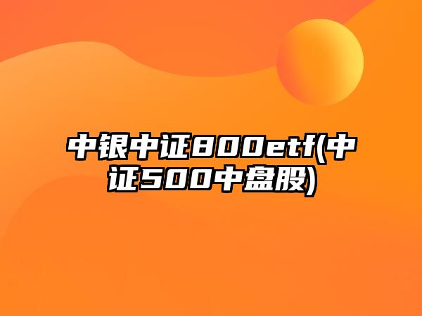 中銀中證800etf(中證500中盤(pán)股)