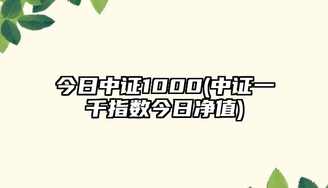 今日中證1000(中證一千指數今日凈值)