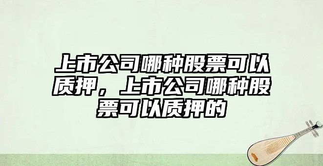 上市公司哪種股票可以質(zhì)押，上市公司哪種股票可以質(zhì)押的