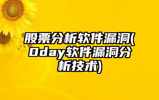 股票分析軟件漏洞(0day軟件漏洞分析技術(shù))