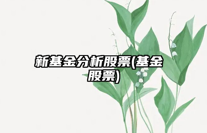 新基金分析股票(基金 股票)