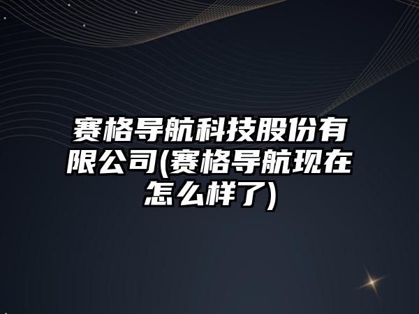 賽格導航科技股份有限公司(賽格導航現在怎么樣了)