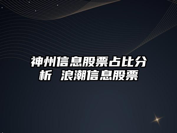 神州信息股票占比分析 浪潮信息股票