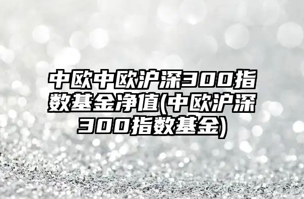 中歐中歐滬深300指數基金凈值(中歐滬深300指數基金)