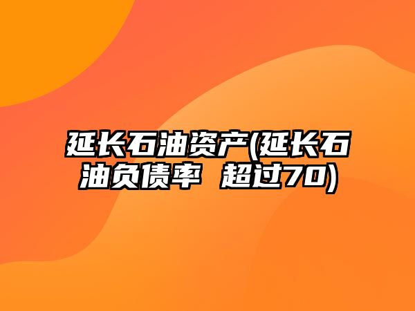 延長(cháng)石油資產(chǎn)(延長(cháng)石油負債率 超過(guò)70)