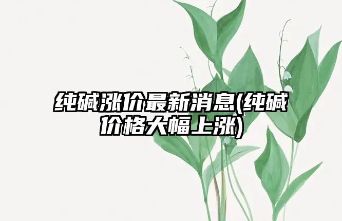 純堿漲價(jià)最新消息(純堿價(jià)格大幅上漲)