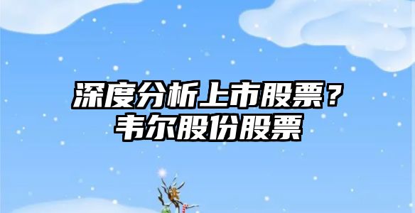 深度分析上市股票？韋爾股份股票