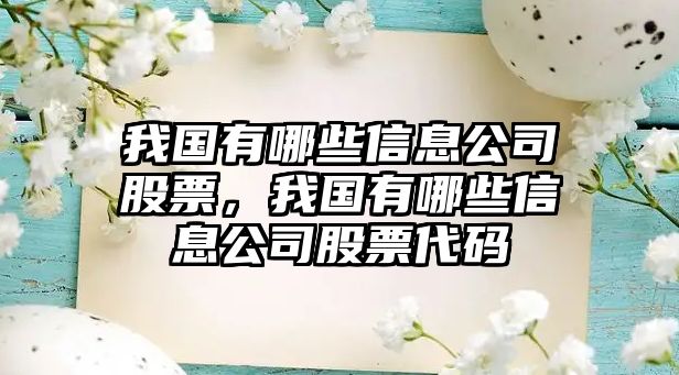 我國有哪些信息公司股票，我國有哪些信息公司股票代碼