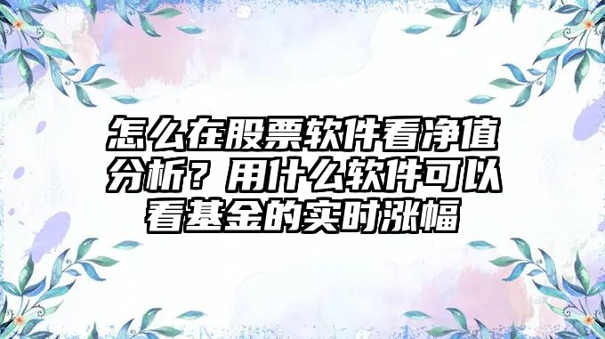 怎么在股票軟件看凈值分析？用什么軟件可以看基金的實(shí)時(shí)漲幅