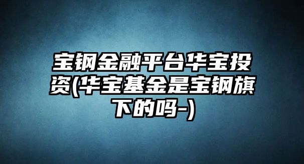 寶鋼金融平臺華寶投資(華寶基金是寶鋼旗下的嗎-)