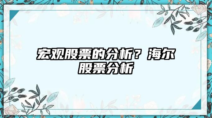 宏觀(guān)股票的分析？海爾股票分析