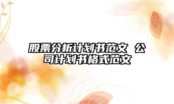 股票分析計劃書(shū)范文 公司計劃書(shū)格式范文