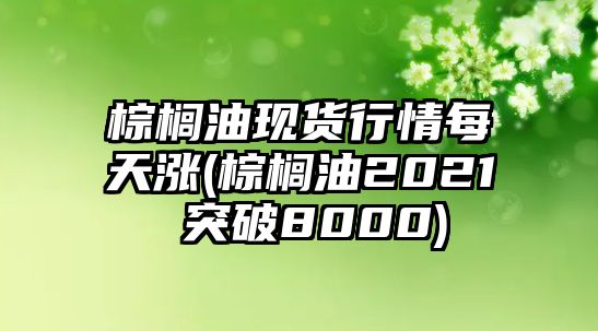 棕櫚油現貨行情每天漲(棕櫚油2021 突破8000)