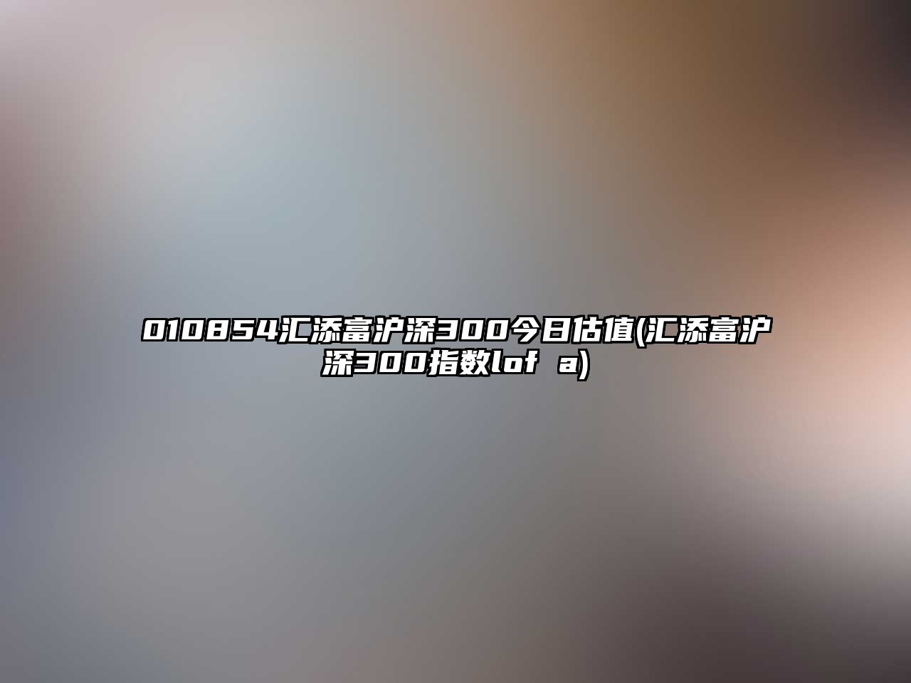 010854匯添富滬深300今日估值(匯添富滬深300指數lof a)