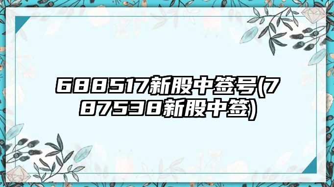 688517新股中簽號(787538新股中簽)