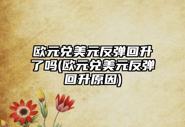 歐元兌美元反彈回升了嗎(歐元兌美元反彈回升原因)