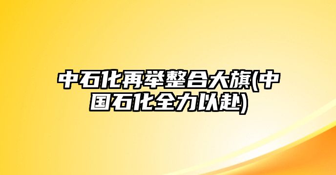 中石化再舉整合大旗(中國石化全力以赴)