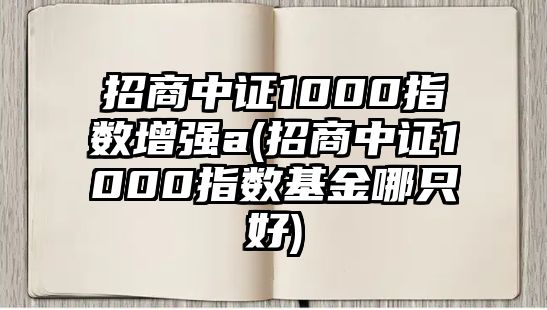 招商中證1000指數增強a(招商中證1000指數基金哪只好)