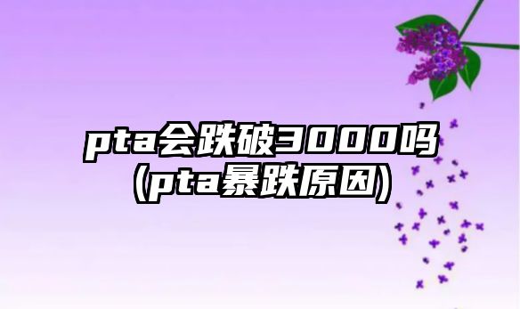 pta會(huì )跌破3000嗎(pta暴跌原因)