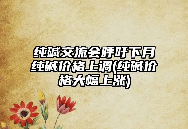 純堿交流會(huì )呼吁下月純堿價(jià)格上調(純堿價(jià)格大幅上漲)