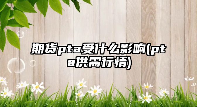 期貨pta受什么影響(pta供需行情)