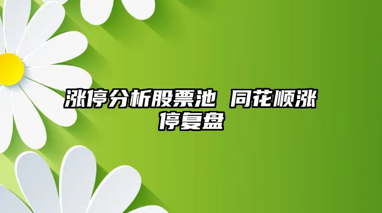 漲停分析股票池 同花順漲停復盤(pán)