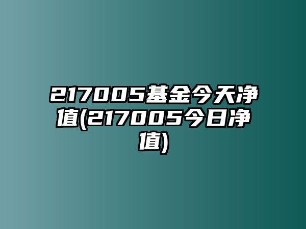 217005基金今天凈值(217005今日凈值)