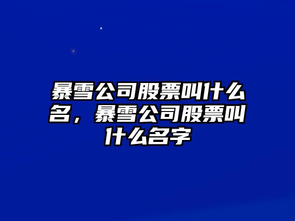 暴雪公司股票叫什么名，暴雪公司股票叫什么名字