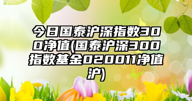 今日國泰滬深指數300凈值(國泰滬深300指數基金020011凈值滬)