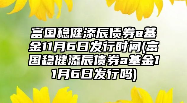 富國穩健添辰債券a基金11月6日發(fā)行時(shí)間(富國穩健添辰債券a基金11月6日發(fā)行嗎)