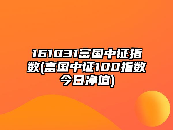 161031富國中證指數(富國中證100指數今日凈值)