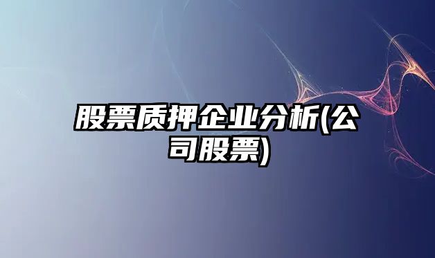 股票質(zhì)押企業(yè)分析(公司股票)