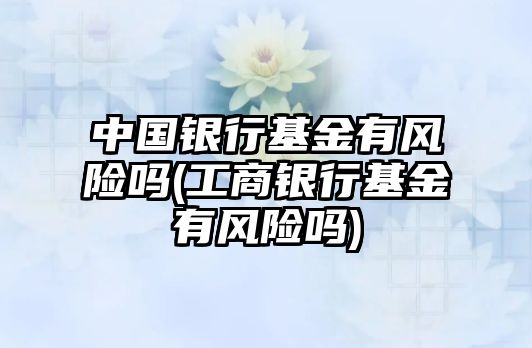 中國銀行基金有風(fēng)險嗎(工商銀行基金有風(fēng)險嗎)