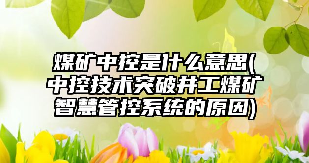 煤礦中控是什么意思(中控技術(shù)突破井工煤礦智慧管控系統的原因)