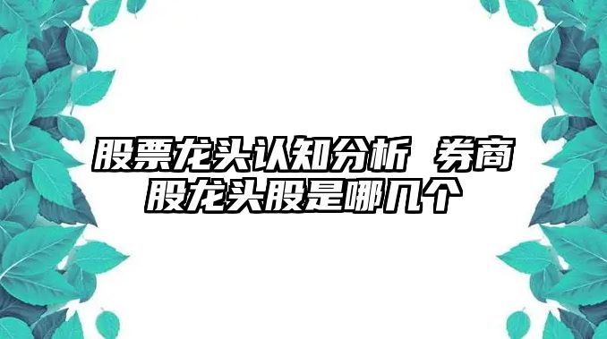 股票龍頭認知分析 券商股龍頭股是哪幾個(gè)