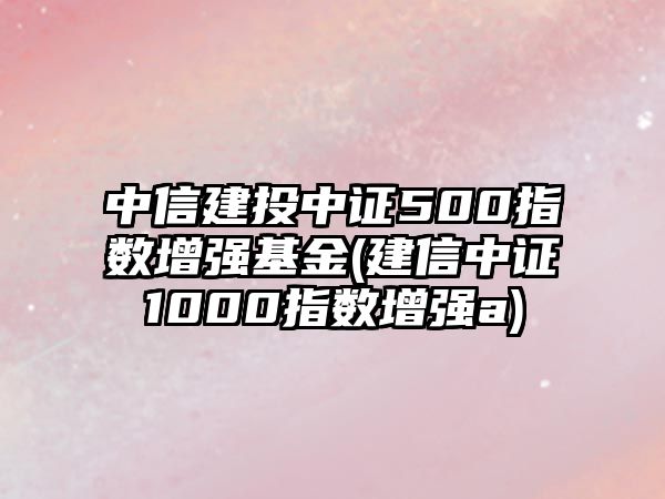 中信建投中證500指數增強基金(建信中證1000指數增強a)