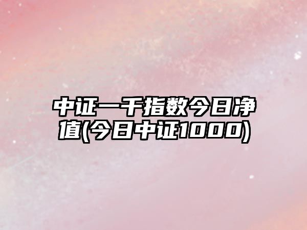 中證一千指數今日凈值(今日中證1000)