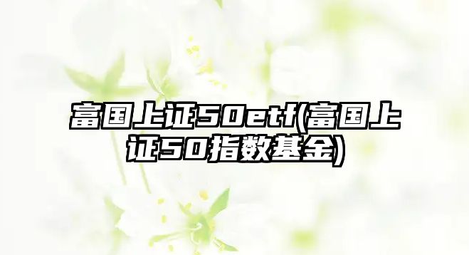 富國上證50etf(富國上證50指數基金)