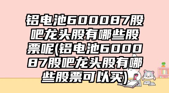 鋁電池600087股吧龍頭股有哪些股票呢(鋁電池600087股吧龍頭股有哪些股票可以買(mǎi))