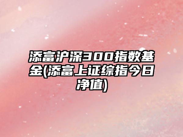 添富滬深300指數基金(添富上證綜指今日凈值)