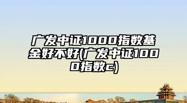 廣發(fā)中證1000指數基金好不好(廣發(fā)中證1000指數c)