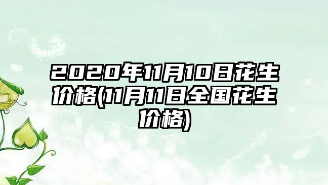 2020年11月10日花生價(jià)格(11月11日全國花生價(jià)格)